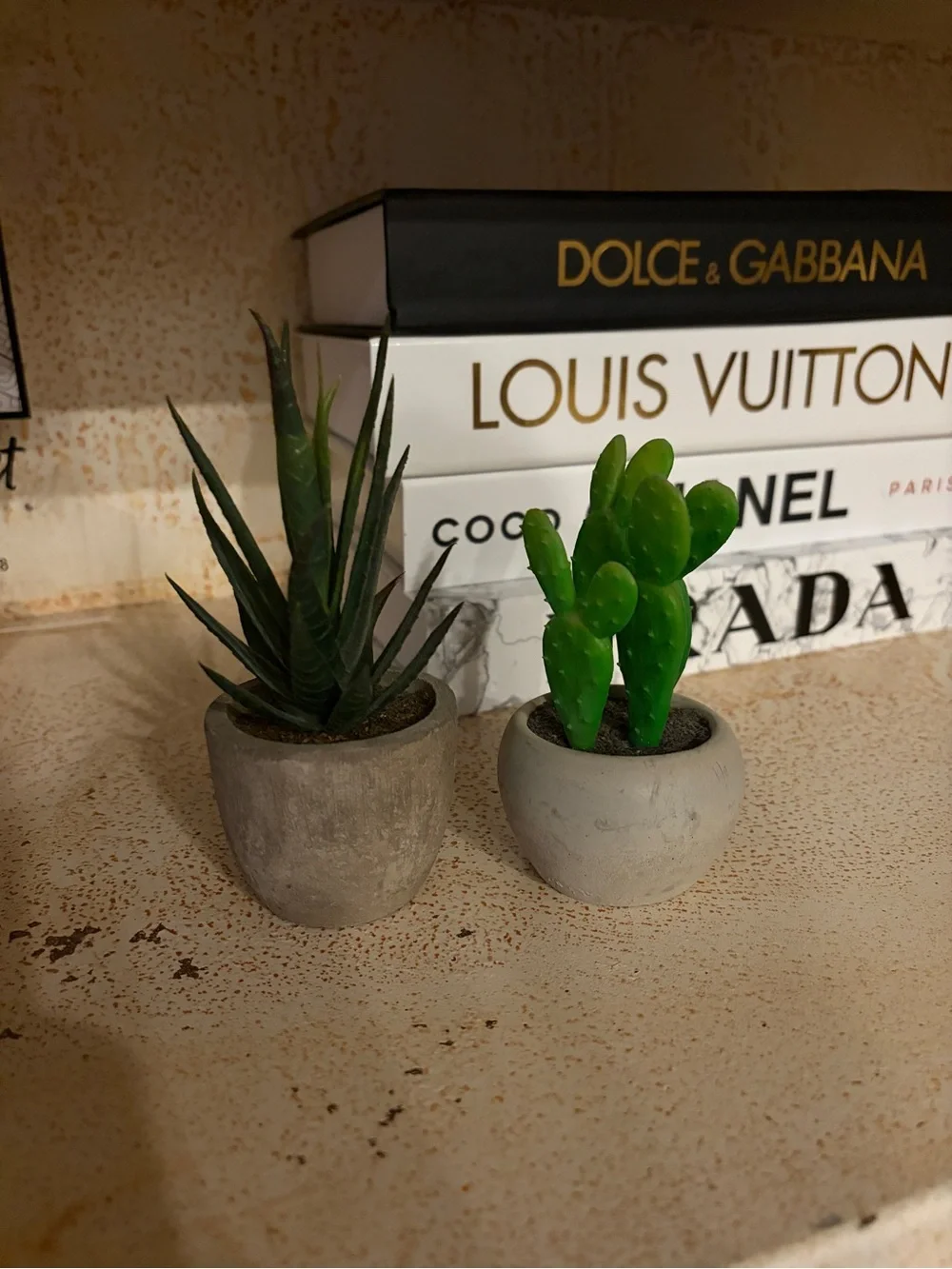 Decorative Faux Succulent plants set of 2